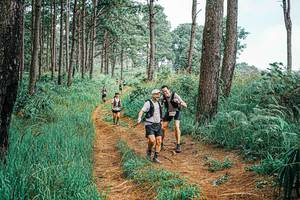 BIB: 
                            <button type="button" onclick="openModal(25658397)" class="btn btn-primary btn-sm float-right btn-popup" data-toggle="modal" data-target=".modal-high-quality">
                        <i class="fas fa-shopping-cart"></i> Add to Cart
                    </button>
                                            <button type="button" onclick="isThisMe(25658397, true)" class="btn btn-success btn-sm float-right btn-popup btn-isme hidden" data-toggle="tooltip" data-placement="bottom" title="นี่คือรูปของคุณใช่ไหม คลิกที่นี่เพื่อเอาเข้าอัลบั้ม">
                        <i class="fas fa-plus"></i> Add to album
                    </button>
                    <button type="button" onclick="isThisMe(25658397, false)" class="btn btn-warning btn-sm float-right btn-popup btn-isnotme hidden">
                        <i class="fas fa-ban"></i> Remove from album
                    </button>